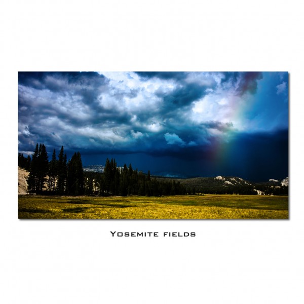yosemitefields